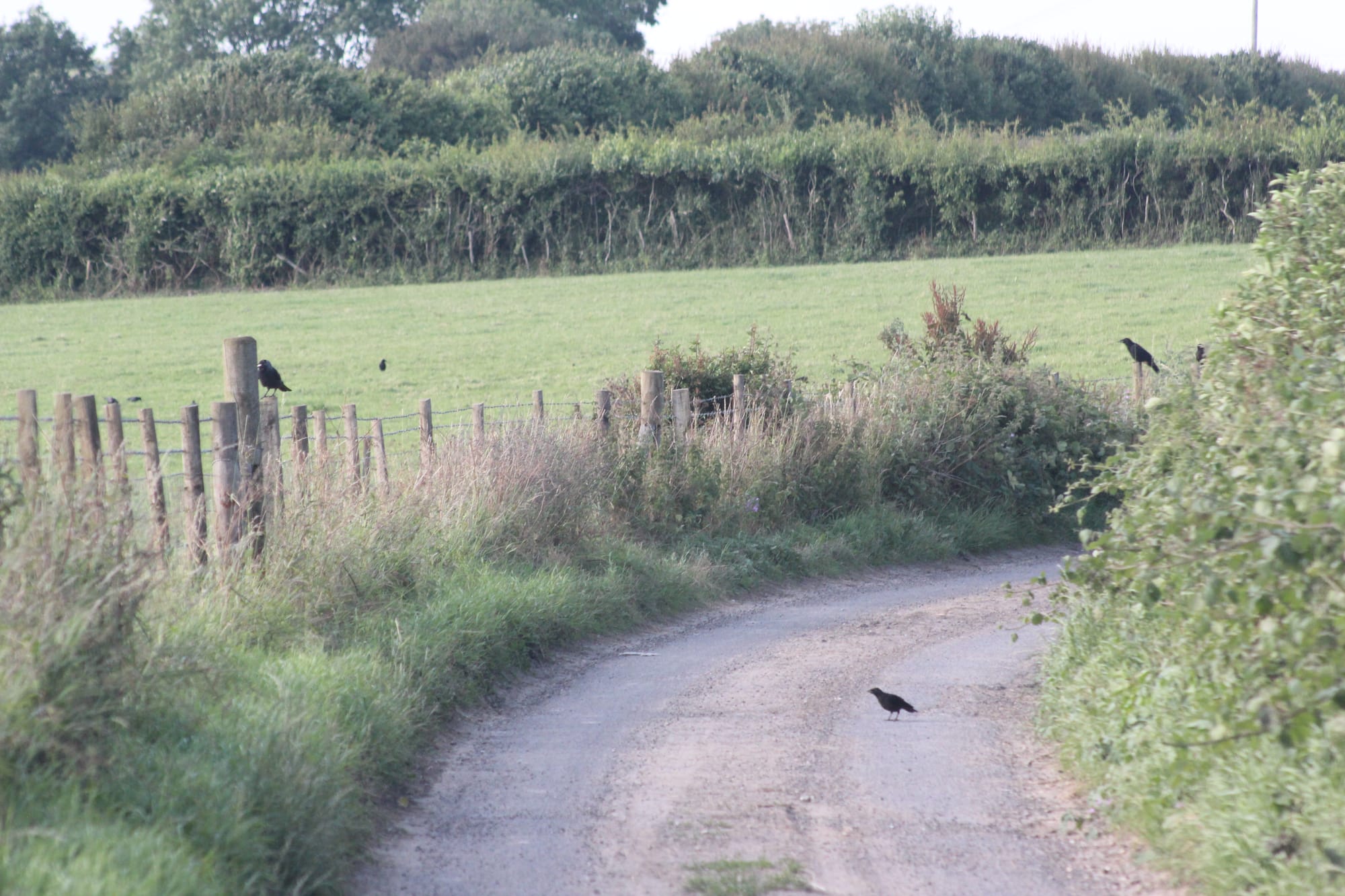 Beautiful Countryside around Little Cooting Farm