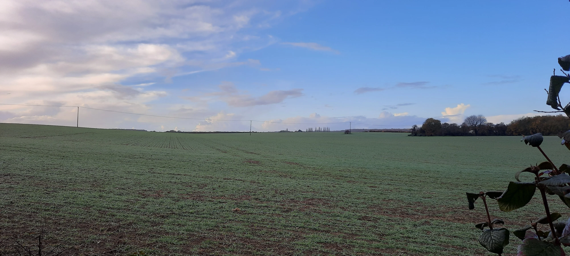 View towards Little Cooting Farm from Adisham Railway Station