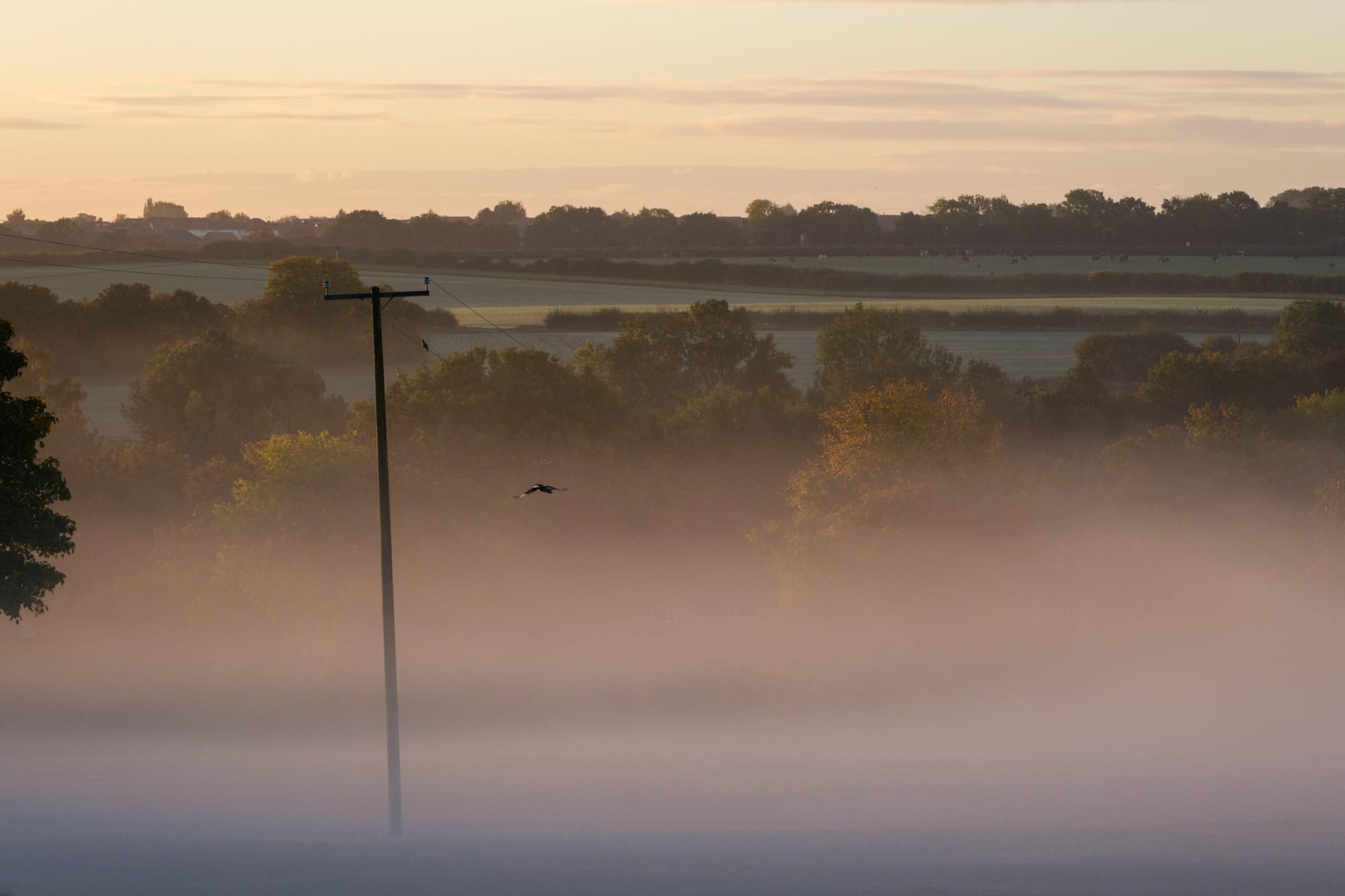 Image Copyright William Turrell