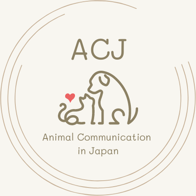 Animal Communication in Japan　～アニコミジャパン～