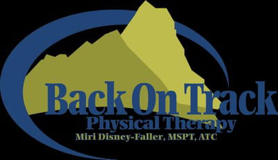 www.backontrackptmt.com