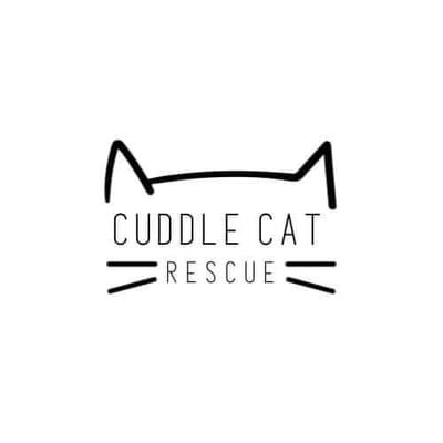 Cuddle Cat Rescure