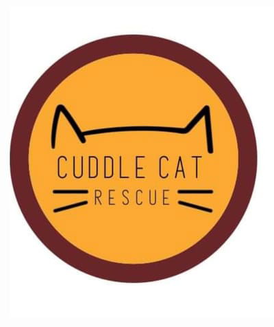 Cuddle Cat Rescure