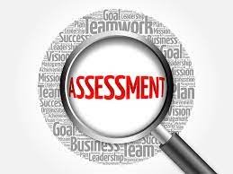 Areas of Assessment