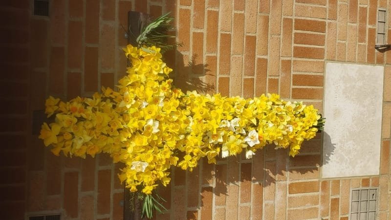 Easter Flowers - Bridgwater