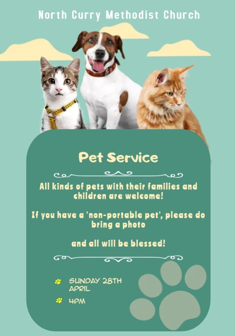Pet Service - North Curry
