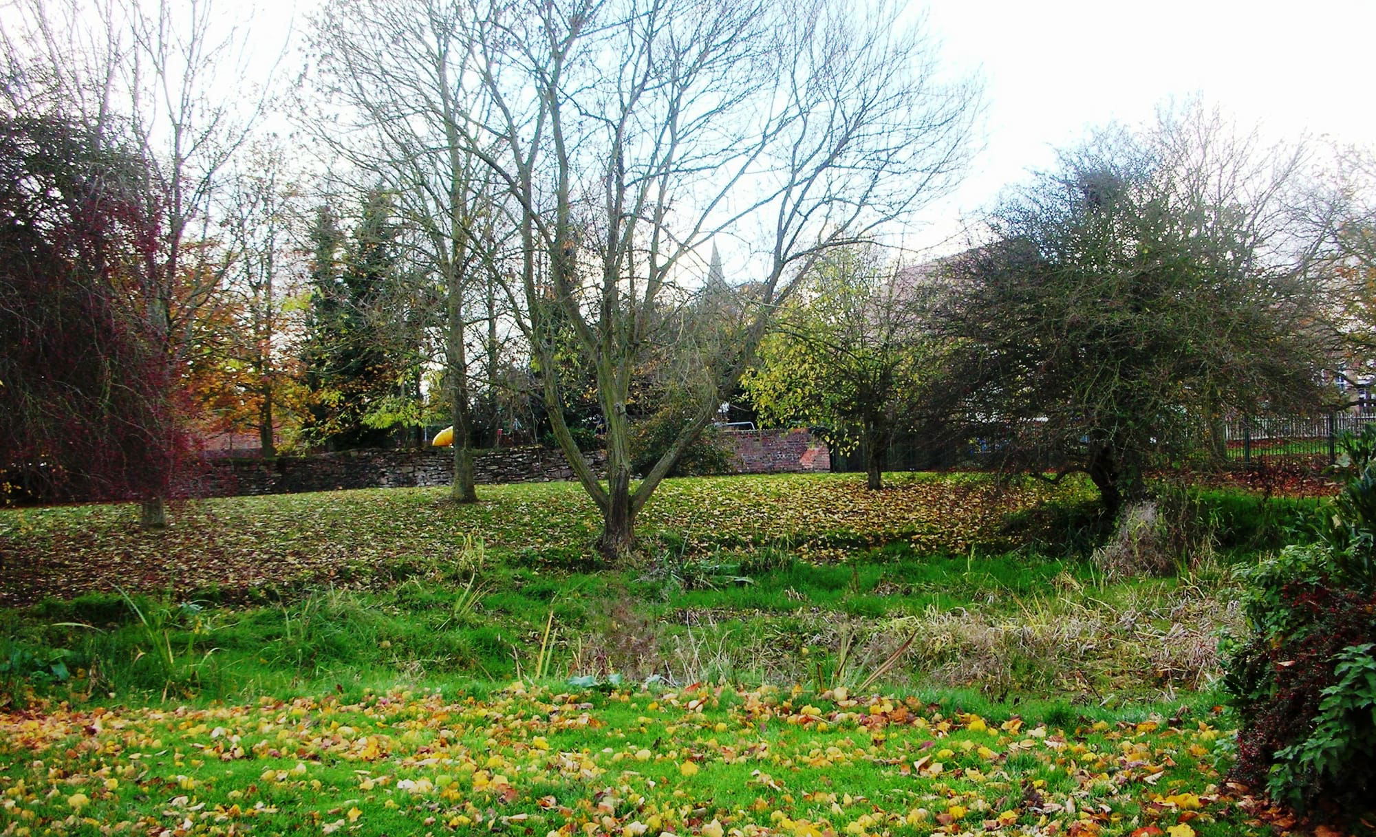 Village Pond , Bury Dyke -2010
