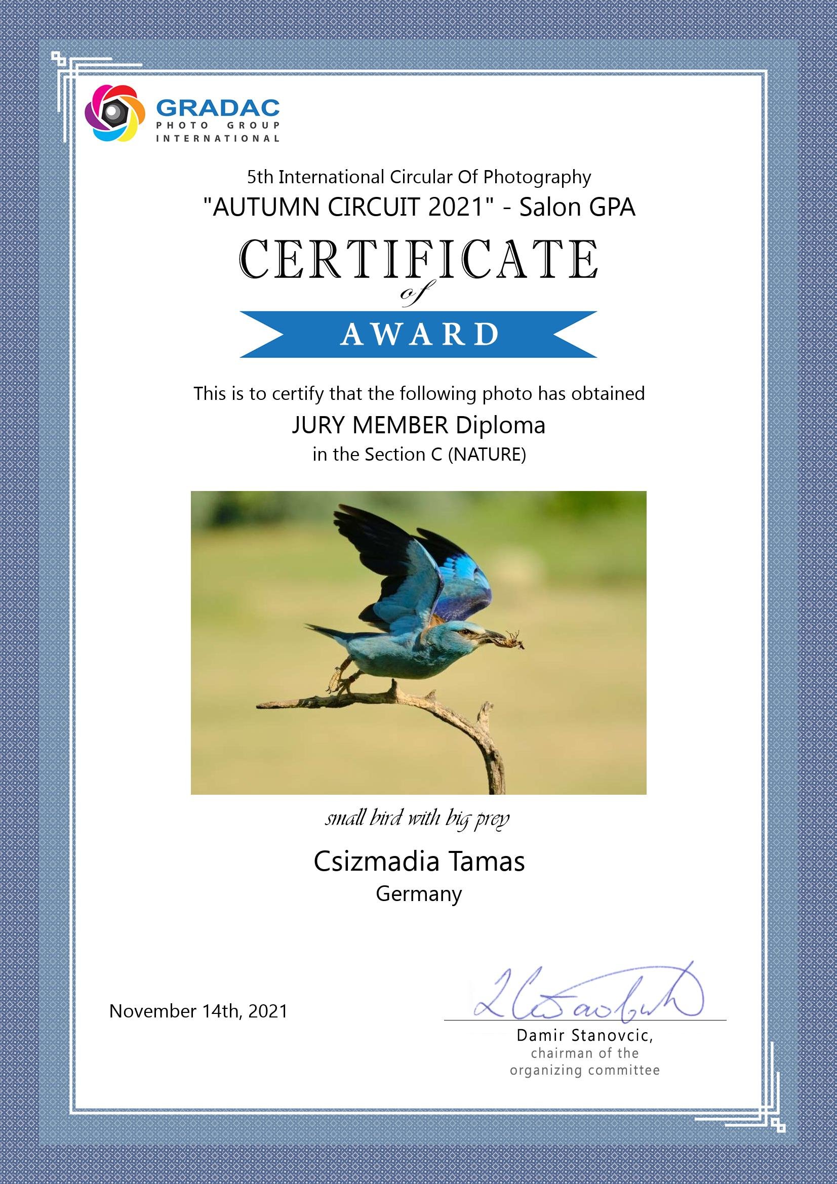Jury member diploma: Csizmadia Tamás - Small bird with big prey
