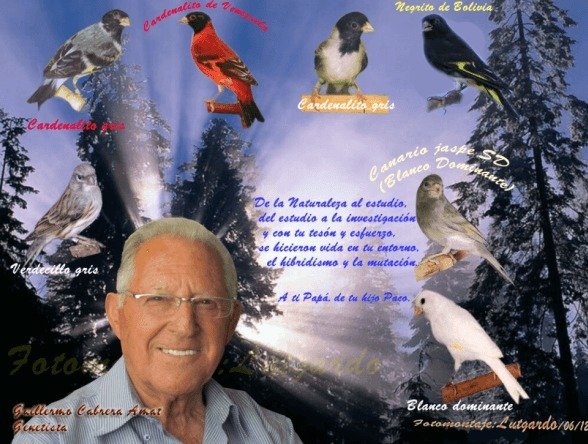 خصوبة هجائن عدد من الطيورحسب جدول الدكتورغيليرمو كابريرا أمات Guillermo Cabrera Amat