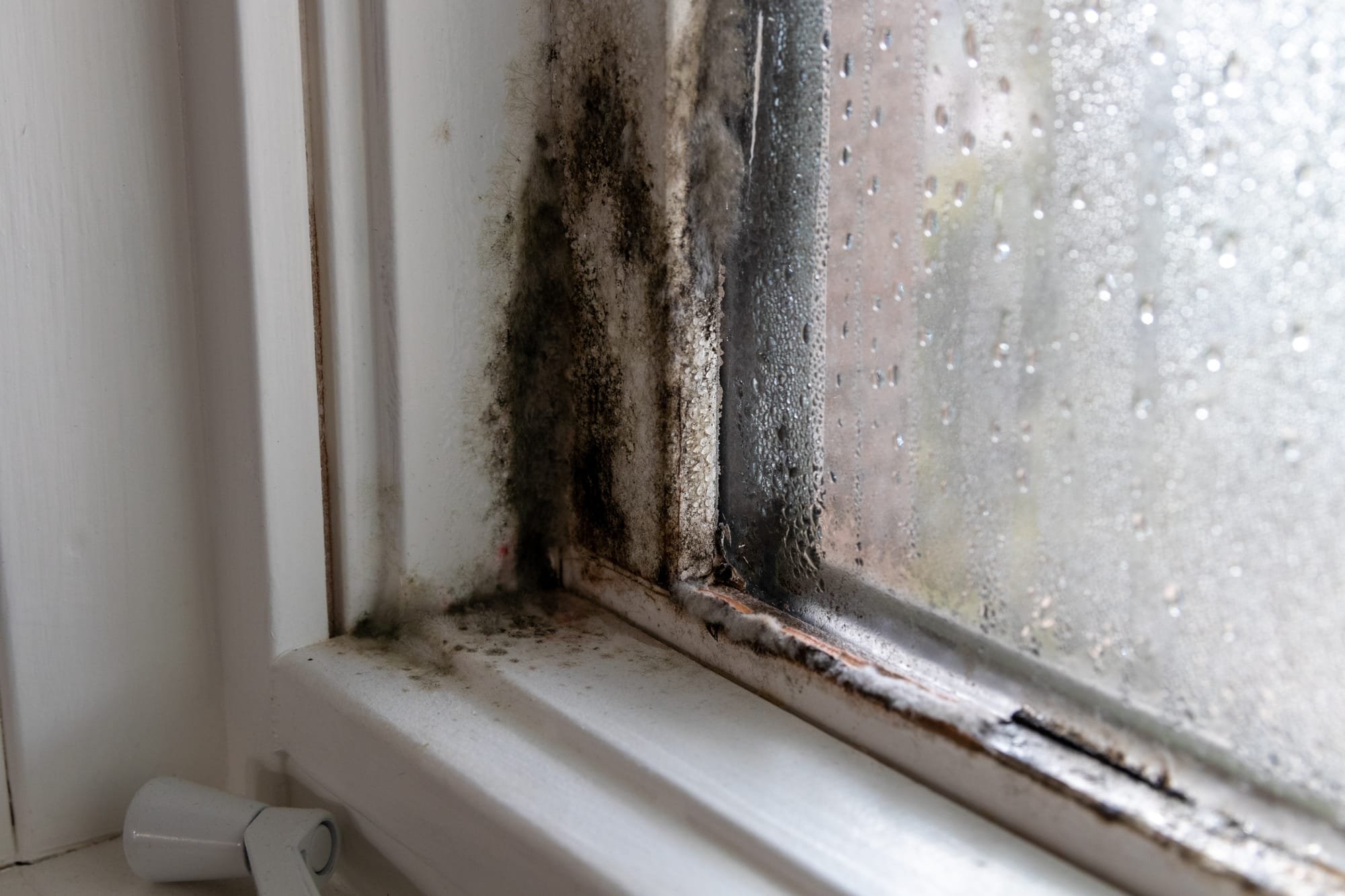How do I know if my windows need replacing?