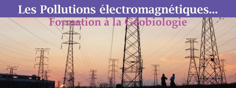 FORMATION DE GEOBIOLOGIE (Niv. 2) : Géobio & Pollutions électromagnétiques