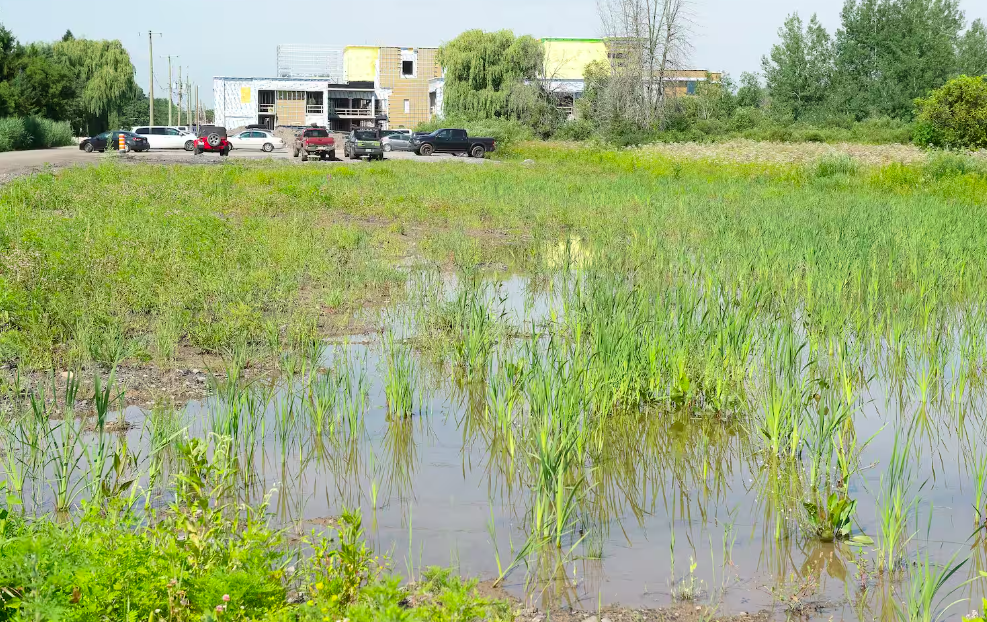 Le 15 août 2023 - Milieux humides: le ministre de l'Environnement Benoit Charette reconnaît des lacunes dans la loiEnviron 98% des demandes de destruction de milieux humides sont acceptées