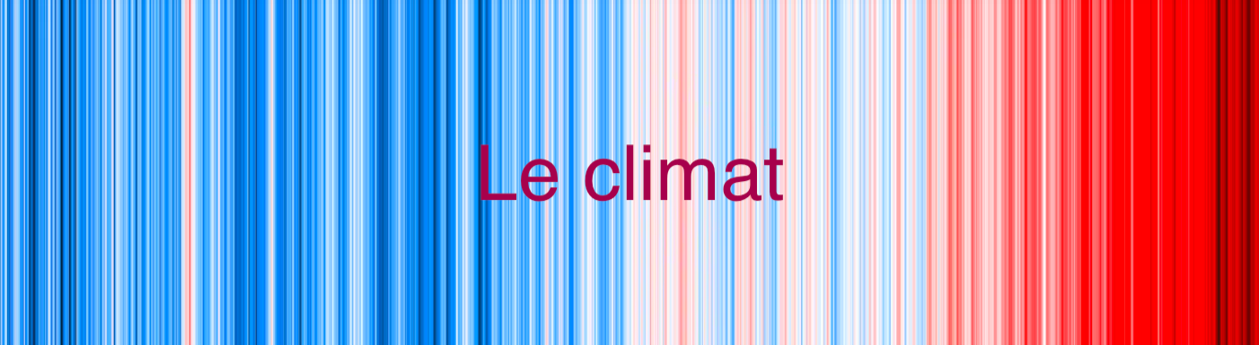 Le 20 décembre 2023 - Voici pourquoi 2023 est l’année de tous les records climatiques