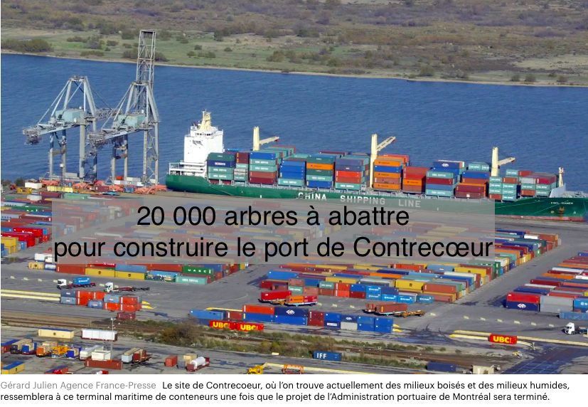 Le 8 janvier 2024 - 20 000 arbres à abattre pour construire le port de Contrecœur - Copier