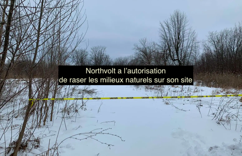 Le 9 janvier 2024 - Northvolt a l’autorisation de raser les milieux naturels sur son site - Copier
