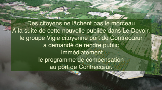 Le 10 janvier 2024 - Expansion du Port de Montréal à Contrecœur : 20 000 arbres doivent être abattus - Copier