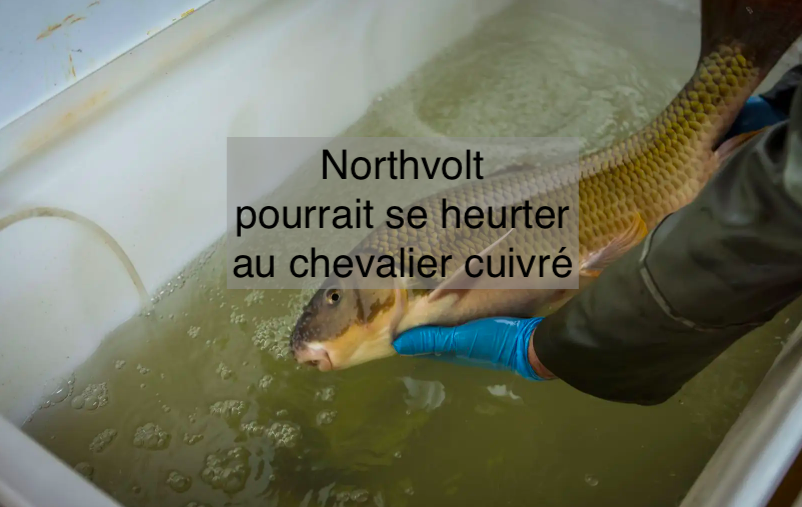 Le 23 janvier 2024 - Northvolt pourrait se heurter au chevalier cuivré