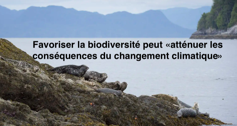 Le 18 mars 2024 - Favoriser la biodiversité peut «atténuer les conséquences du changement climatique»