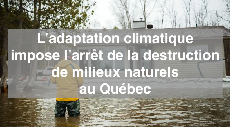 Le 29 mai 2024 - L’adaptation climatique impose l’arrêt de la destruction de milieux naturels au Québec