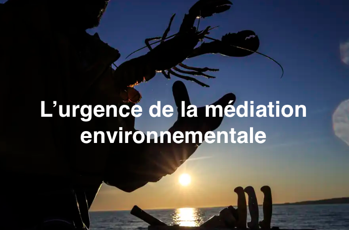 Le 10 juin 2024 -  Réconcilier l’humain et la mer - L’urgence de la médiation environnementale