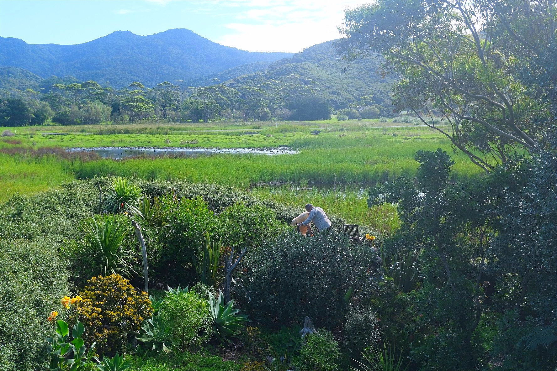 Birdwatching from the private viewing deck