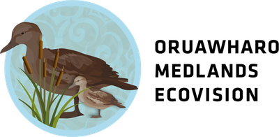 Oruawharo Medlands Ecovision