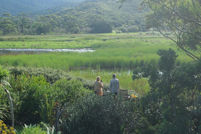 Wetland Wander, Round Two