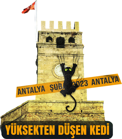 Yüksekten Düşen Kedi