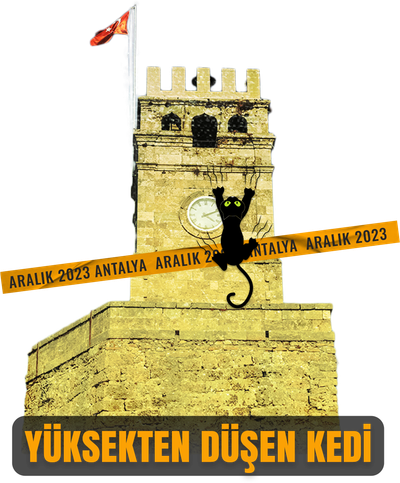 Yüksekten Düşen Kedi