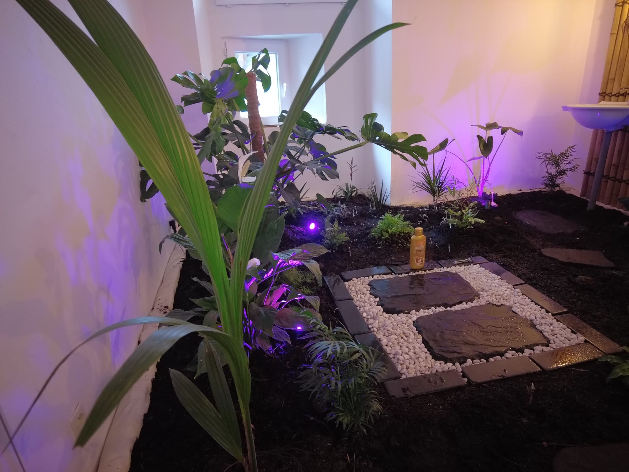 Le Jardin d'Eden
