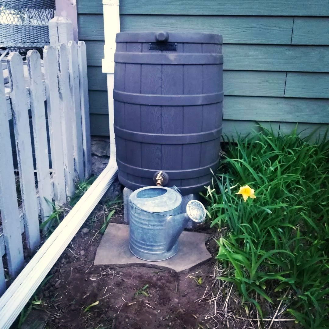 Rain Barrels