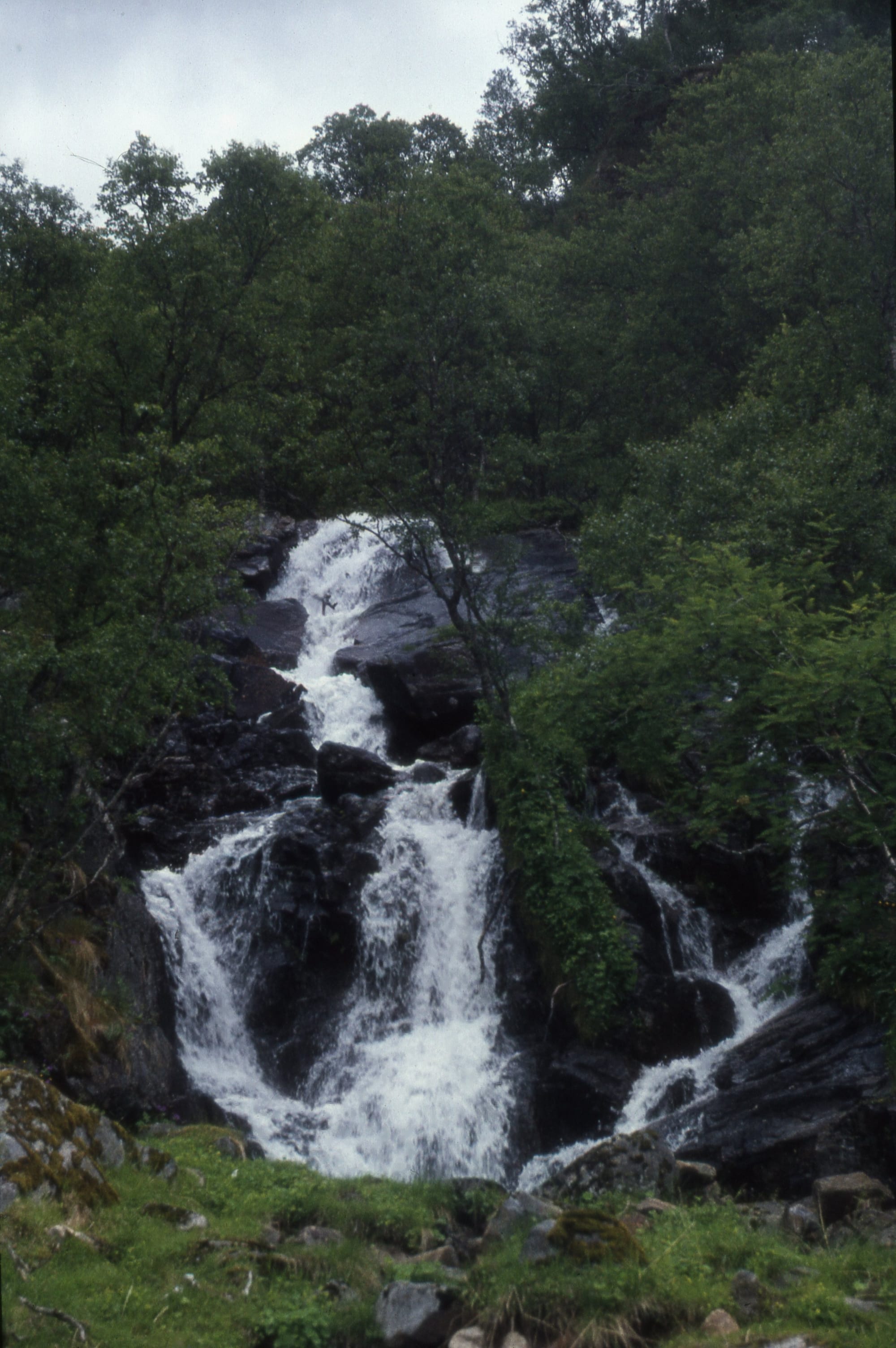 Forselva mellom Haugsnes og Røsnes i Bø s. slik ho eingong var