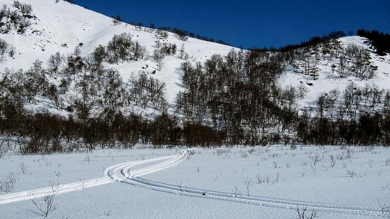 Myta, li-krå på Bø, Bjørnskinn s.