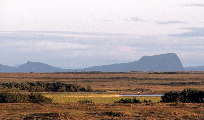 Dverberg-myr med Elgen (på Elgsnes) i bakgr.