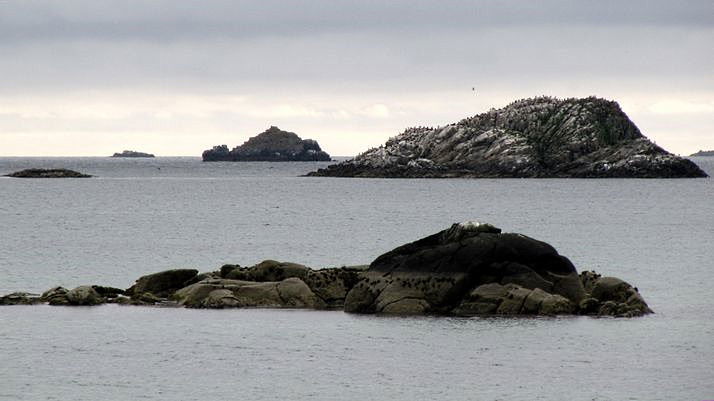 Høgholmen, Lamholmen og Kobbeskjeret Fjærvoll, Bø s.