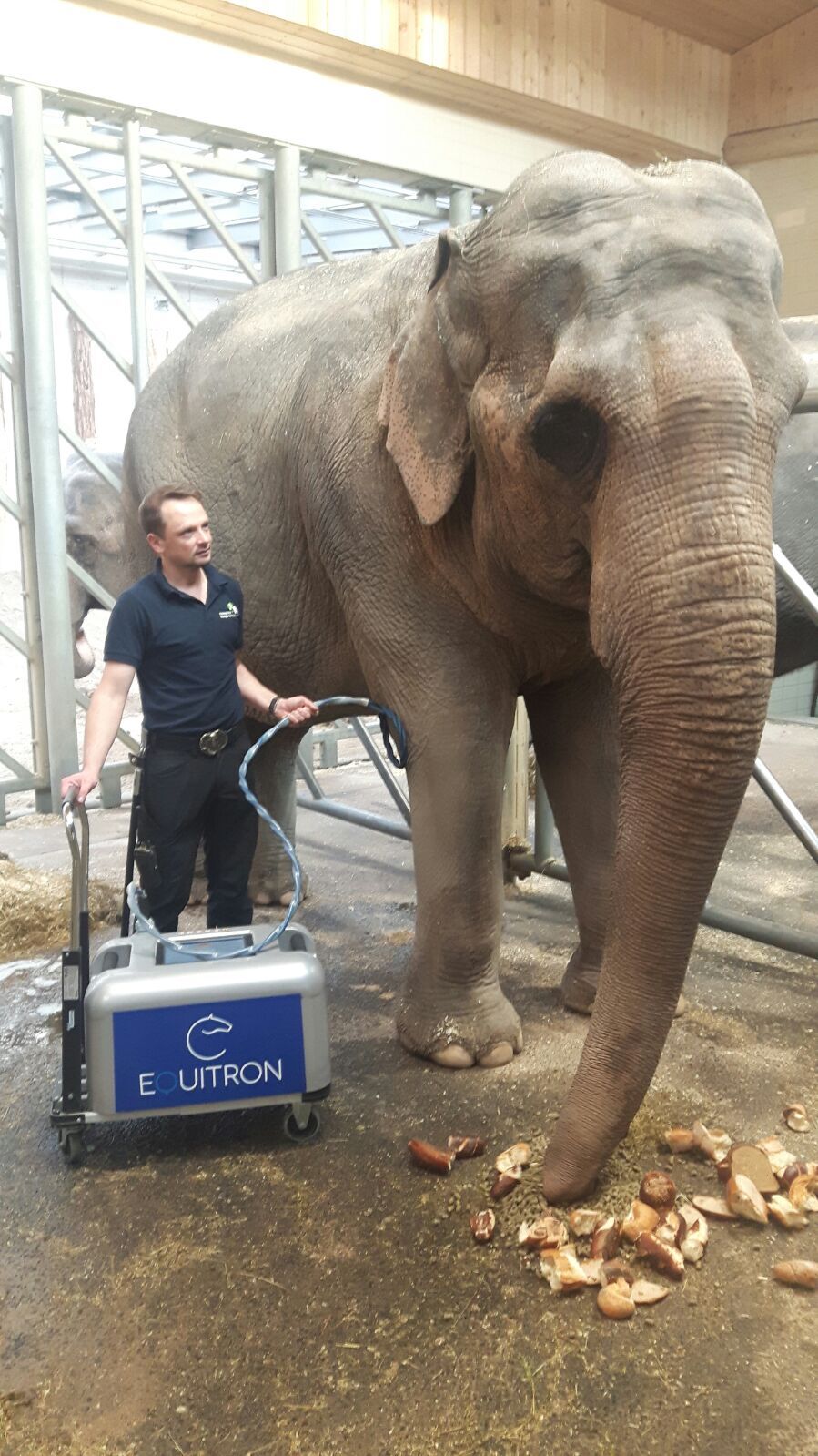 RehabilitationdurchInduktion Induktionstherapie