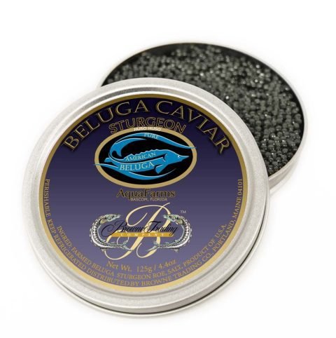 Purebred Beluga Caviar