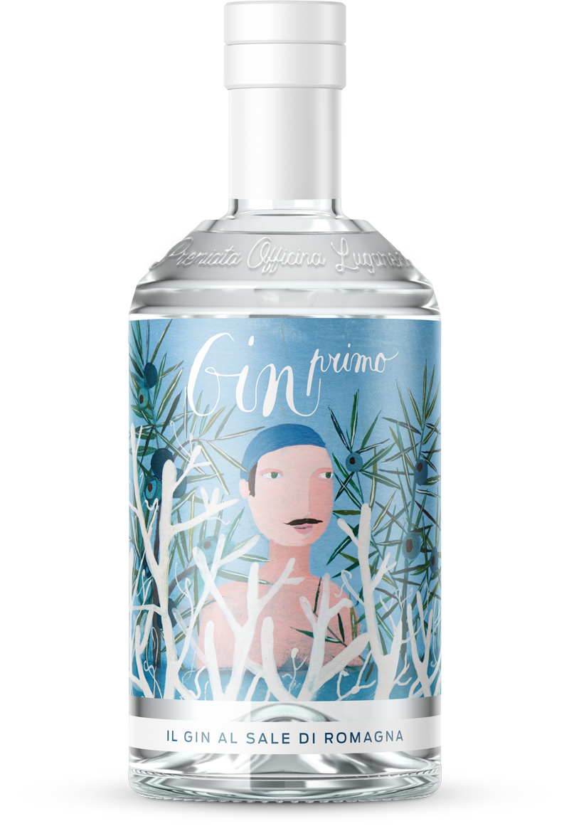 45. Primo 12,00
