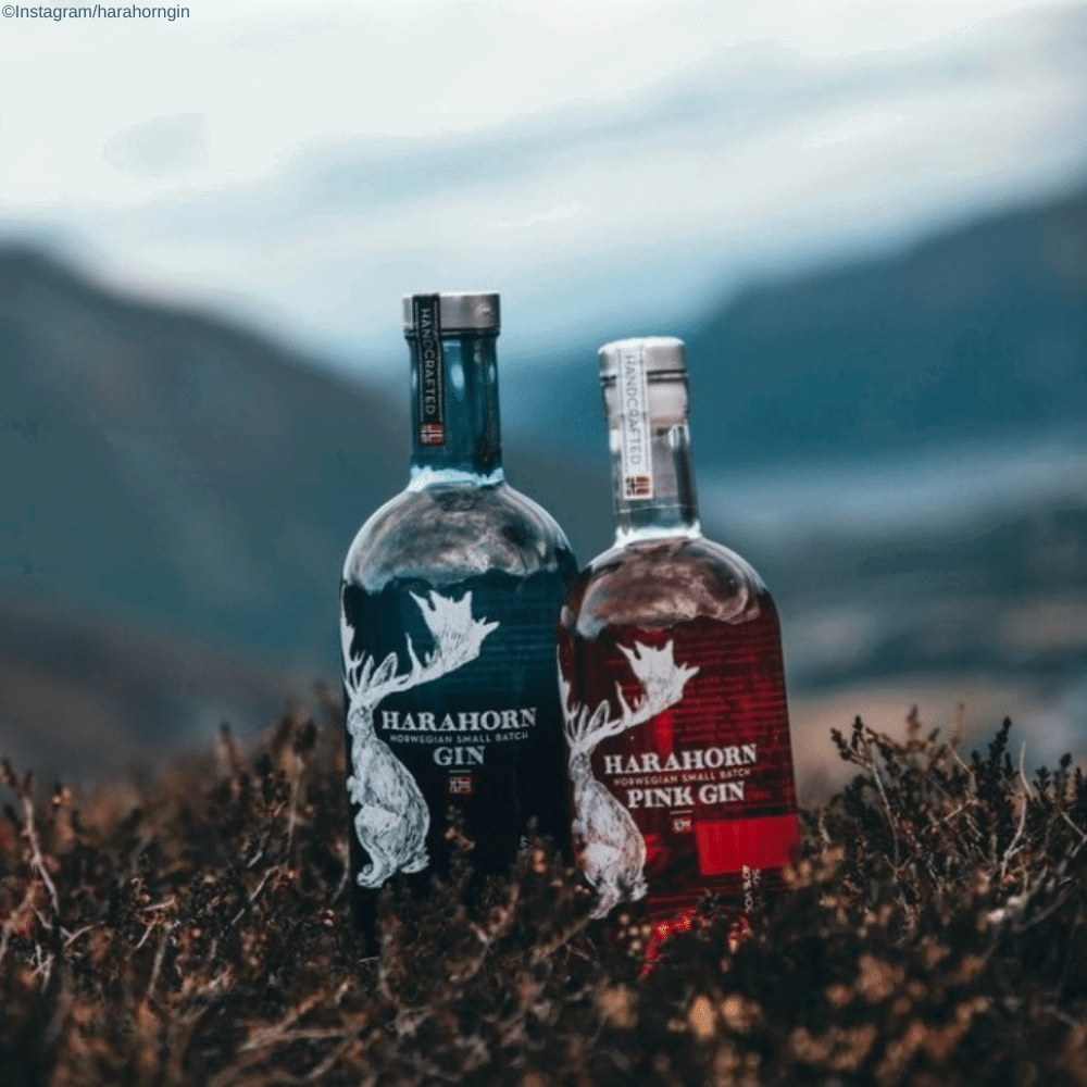 Gin Norvegia