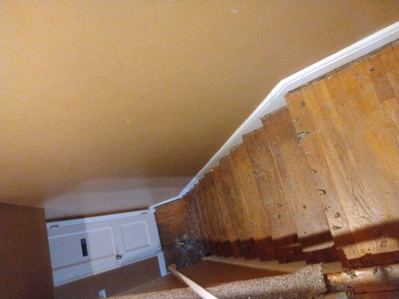 Wood Polish & Repair