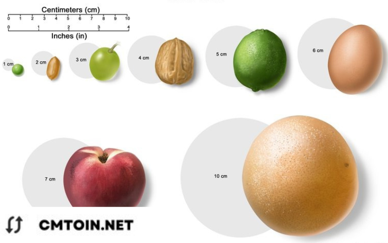 Cmtoin How Big Is 5 Cm In Inches