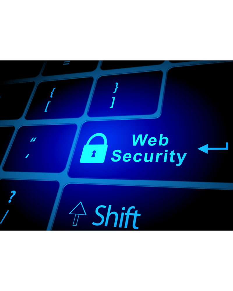 Web security