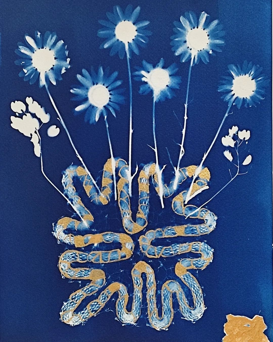 Art Term Tuesday: Cyanotype – From the Fort Wayne Museum of Art
