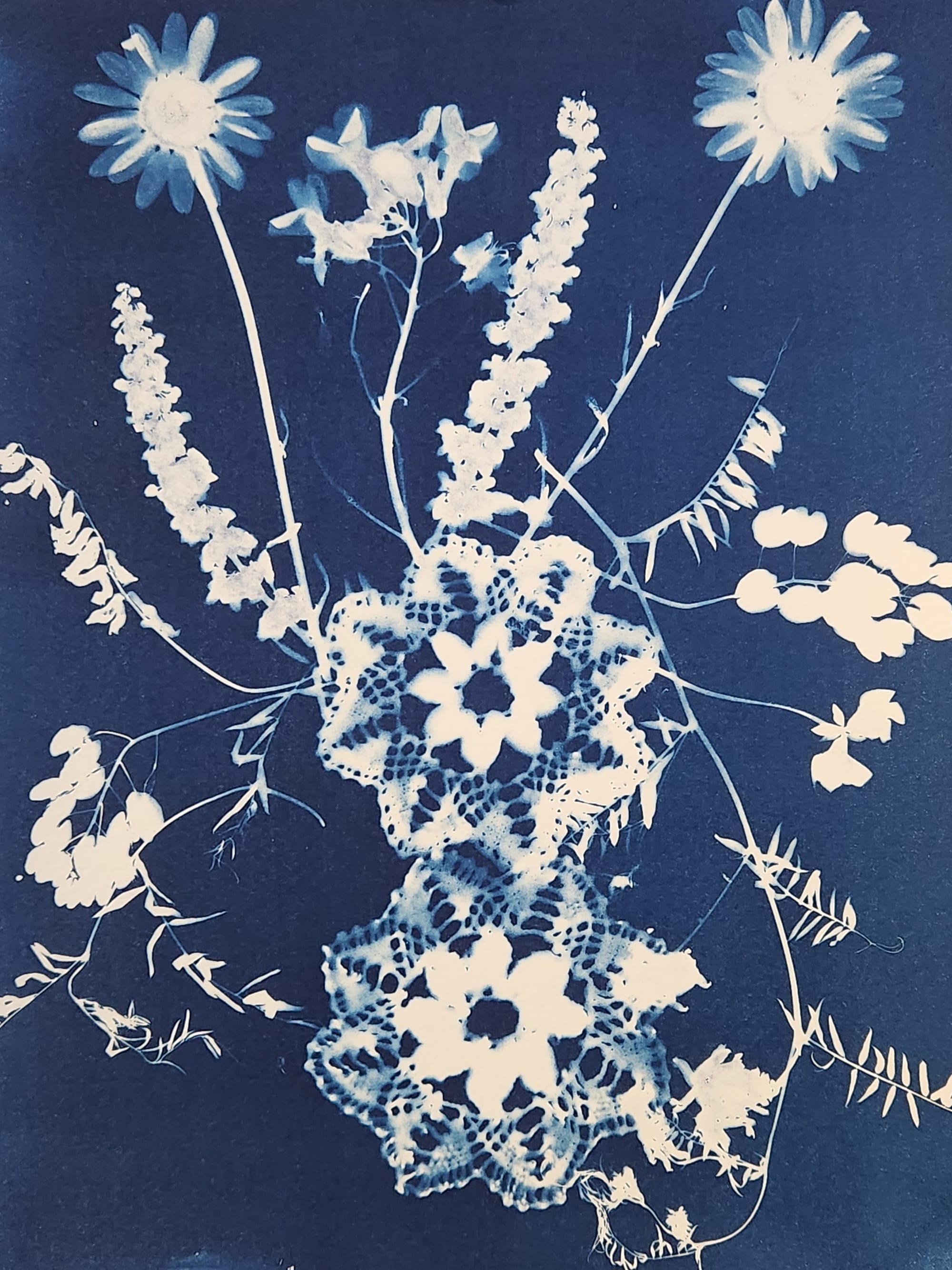 Art Term Tuesday: Cyanotype – From the Fort Wayne Museum of Art