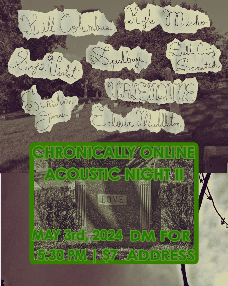 Chronically Online: Acoustic Night II @ Power 10
