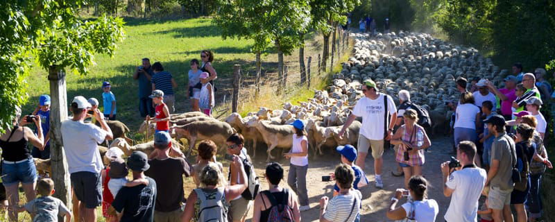 Activités et évenements locaux