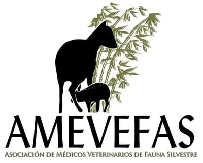 AMEVEFAS Chile