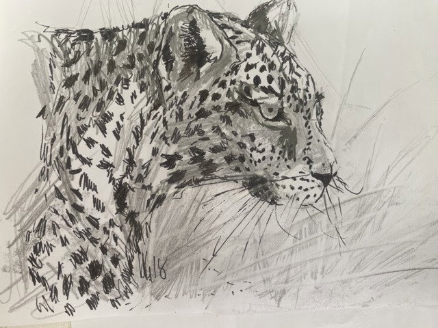 Leopard Chronicles: The Secret World of Silent Predators