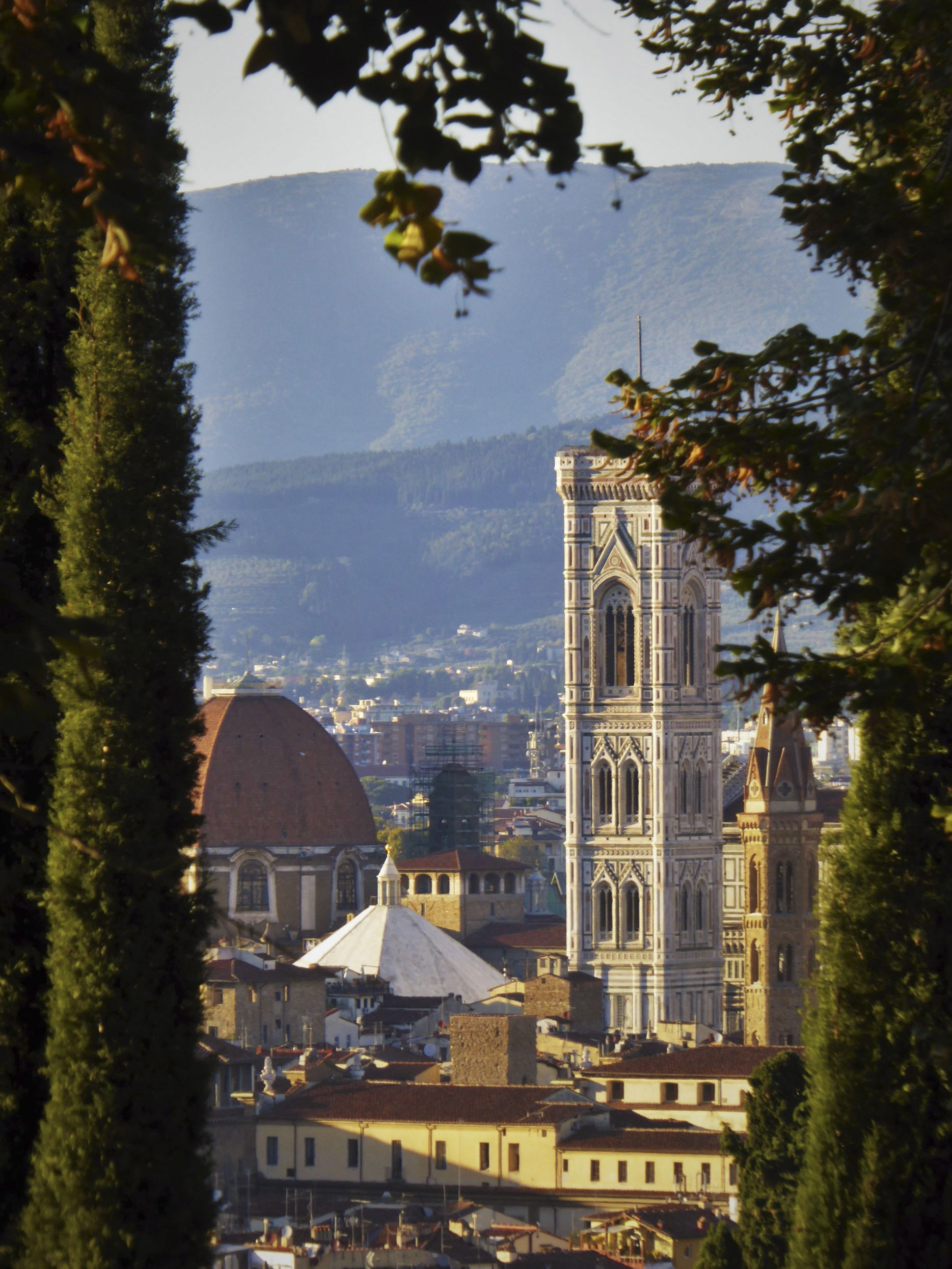 A Picture of Florence
