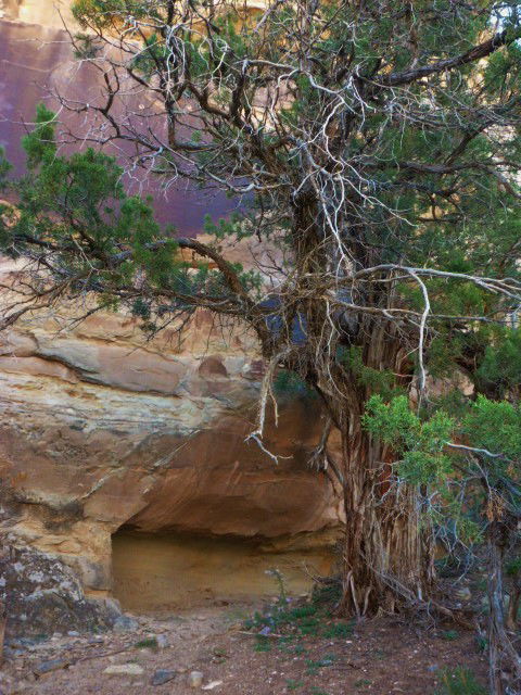 Mica Mine Canyon